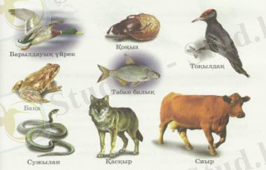 C:\Documents and Settings\Admin\Рабочий стол\СКАНЕР\дүниетану 001.jpg