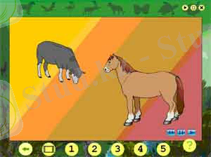 ЭО Коршаған орта, 1-ші сынып