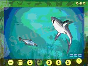 ЭО Коршаған орта, 1-ші сынып