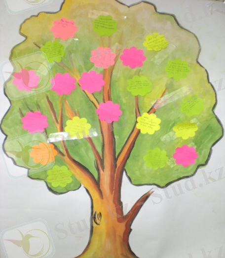 C:\Users\Акбота\Desktop\Фото лицей\CIMG7960.JPG