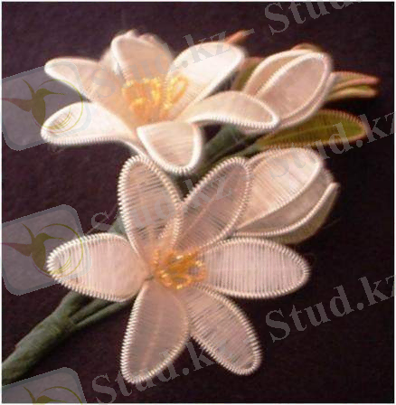 D:\Уроки\сам\Новая папка\image008.jpg