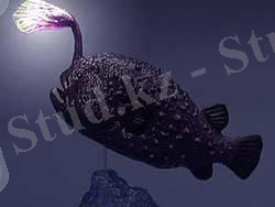 Картинка 61 из 1059