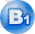 b1