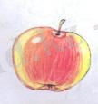 яблоко