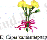 C:\Documents and Settings\1\Рабочий стол\ашык сабак\Рисунок6.gif