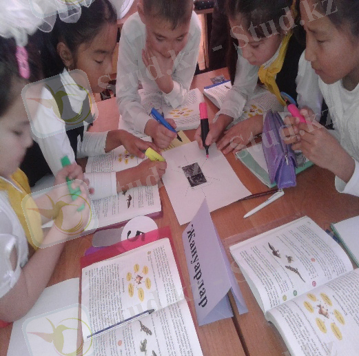 C:\Users\302\Desktop\Новая папка (2)\20140212_155037.jpg