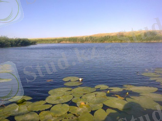 D:\булдурта\Булдурты өзенi.jpg