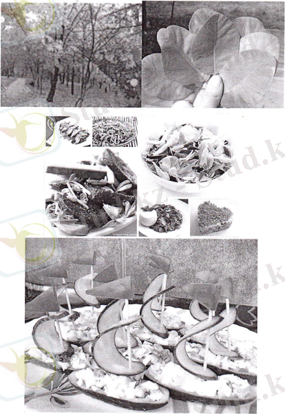 D:\Documents and Settings\Admin\Рабочий стол\Новая папка (2)\Изображение 005.jpg