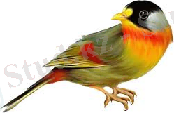 C:\Users\Юзер\Documents\загруженное (90).jpg