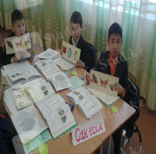 C:\Users\user\Desktop\Новая папка (3)\20150115_125312.jpg