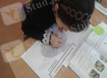 C:\Users\user\Desktop\Новая папка (3)\20150115_130059.jpg