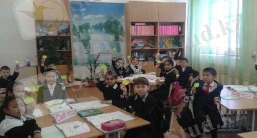 C:\Users\user\Desktop\Новая папка (3)\20150115_121903.jpg