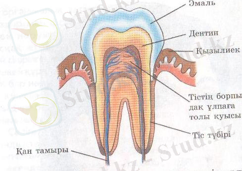 C:\Documents and Settings\Admin\Local Settings\Temporary Internet Files\Content.Word\Изображение30.jpg