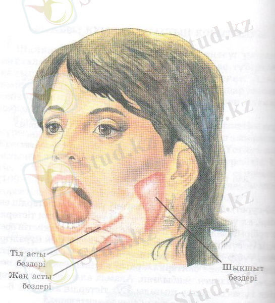 C:\Documents and Settings\Admin\Local Settings\Temporary Internet Files\Content.Word\Изображение.jpg