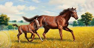 C:\Users\Администратор\Pictures\Төрт түліктің кеңесі_files\загруженное (2).jpg