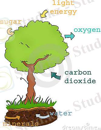 C:\Documents and Settings\Admin\Рабочий стол\1257867096xu11HJ[1].jpg