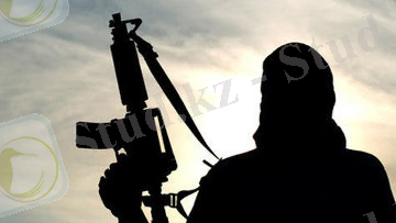 C:\Documents and Settings\Пользователь\Рабочий стол\3581684.jpg