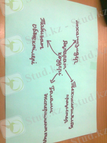 C:\Documents and Settings\Admin\Local Settings\Temporary Internet Files\Content.Word\Фото1142.jpg