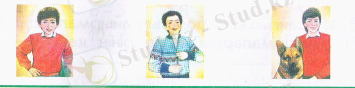 Изображение 197