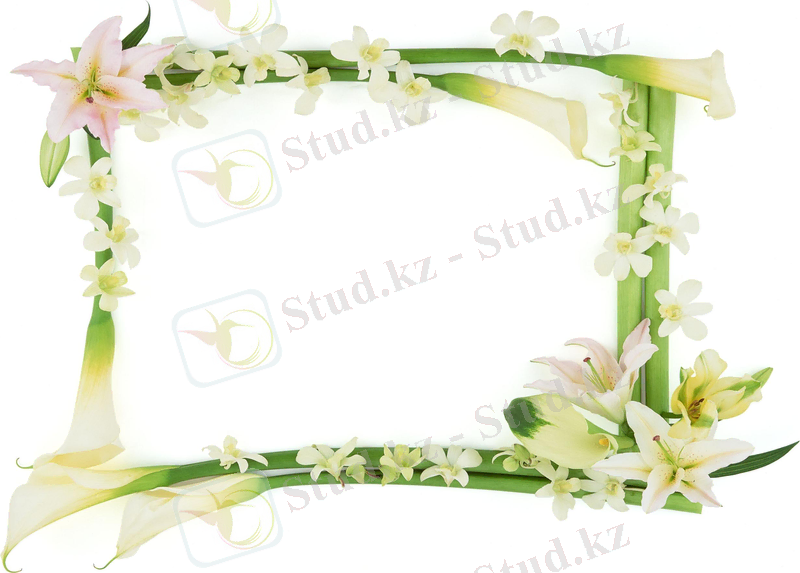 D:\Елена\Докум Лена\картинки\Ульфат\Frames2\decor_frame\SZ166.JPG