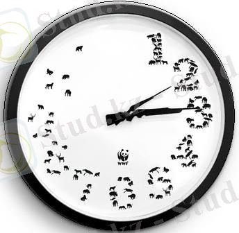 C:\Documents and Settings\Админ\Рабочий стол\1-2.jpeg