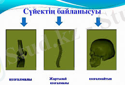 C:\Users\User\Desktop\Без названия.jpg