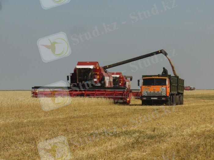 ÐÐ°ÑÑÐ¸Ð½ÐºÐ¸ Ð¿Ð¾ Ð·Ð°Ð¿ÑÐ¾ÑÑ ÐµÐ³ÑÑ Ð´Ð°Ð»Ð°ÑÑÐ½Ð´Ð°