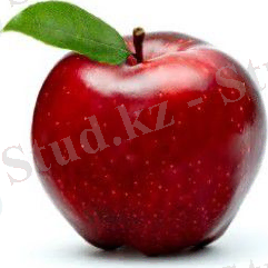 &Kcy;&acy;&rcy;&tcy;&icy;&ncy;&kcy;&icy; &pcy;&ocy; &zcy;&acy;&pcy;&rcy;&ocy;&scy;&ucy; &kcy;&rcy;&acy;&scy;&ncy;&ocy;&iecy; &yacy;&bcy;&lcy;&ocy;&kcy;&ocy;