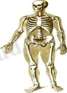 ÐÐ¾ÑÐ¾Ð¶ÐµÐµ Ð¸Ð·Ð¾Ð±ÑÐ°Ð¶ÐµÐ½Ð¸Ðµ