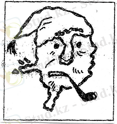 C:\Documents and Settings\User\Мои документы\Дудка\Мои рисунки\img063.jpg