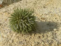 C:\Users\Dozay\Desktop\Без названия.jpg