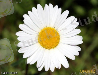 LuNATOCHKA - Я намерена стать стройной и красивой - Просмотр темы - - Женские форумы myJane