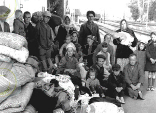 депор поляк.jpg