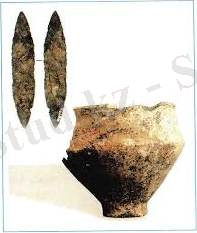 C:\Users\Гаухар\Desktop\Без названия.jpg