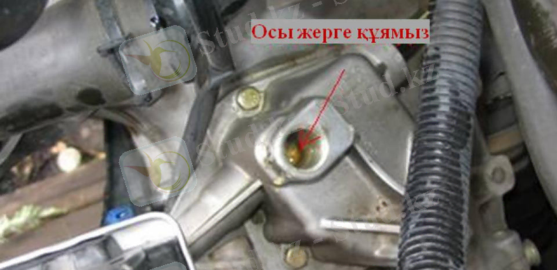 Замена трансмиссионного масла &nbsp; 