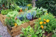 ÐÐ¾ÑÐ¾Ð¶ÐµÐµ Ð¸Ð·Ð¾Ð±ÑÐ°Ð¶ÐµÐ½Ð¸Ðµ