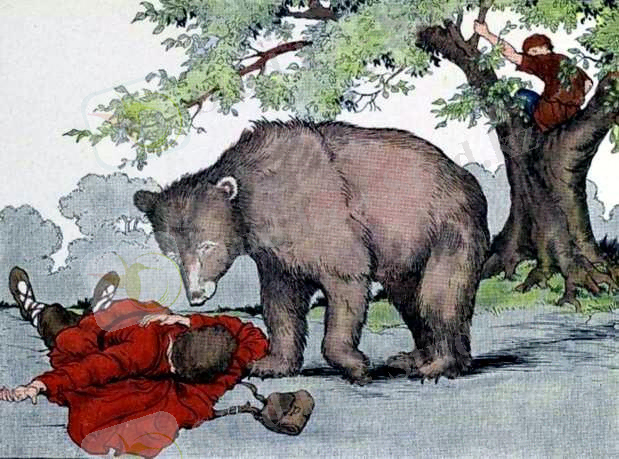 Жаман жолдас - Yvision.kz