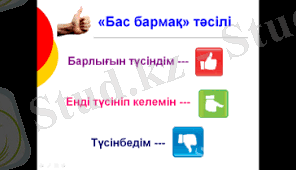 Без названия.png