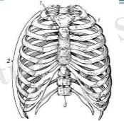 C:\Users\Admin\Downloads\WhatsApp Image 2021-04-27 at 23.19.59.jpeg