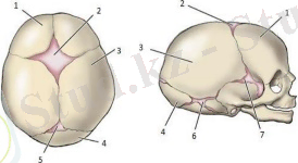 C:\Users\Admin\Downloads\WhatsApp Image 2021-04-27 at 23.20.00.jpeg