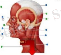 C:\Users\Admin\Downloads\WhatsApp Image 2021-04-27 at 23.20.02.jpeg