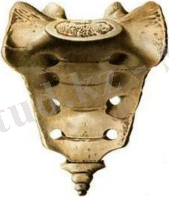 C:\Users\Admin\Downloads\WhatsApp Image 2021-04-27 at 23.20.00 (1).jpeg