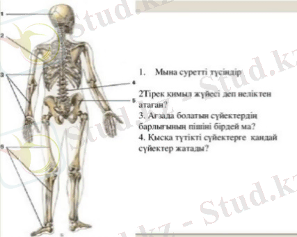 C:\Users\Admin\Downloads\WhatsApp Image 2021-04-27 at 23.06.40.jpeg