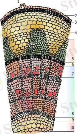 C:\Users\Toshiba\AppData\Local\Microsoft\Windows\Temporary Internet Files\Content.Word\slide-21 (1).jpg