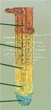 C:\Users\Toshiba\AppData\Local\Microsoft\Windows\Temporary Internet Files\Content.Word\slide-15.jpg