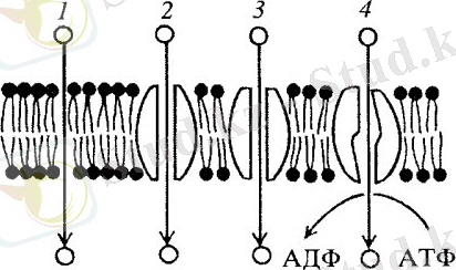 Картинки по запросу простая диффузия