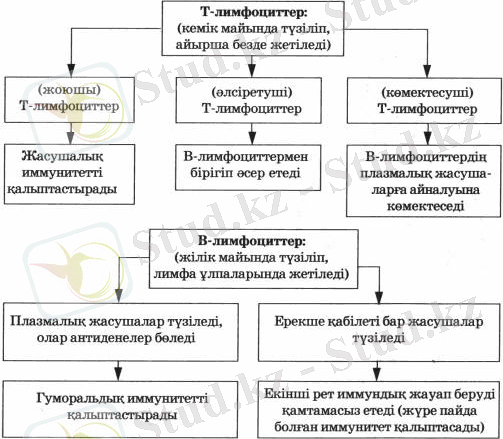Организмнің ішкі ортасы