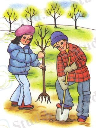 Похожее изображение