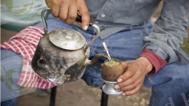 С мятой или маслом яка? Как пьют чай в разных странах - ФОТО