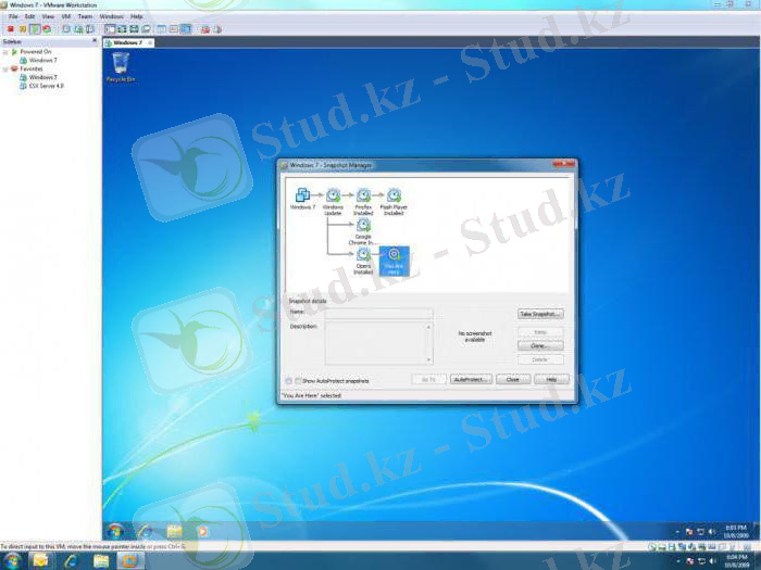 физикалық машинада VMware мен виртуализация жоқ пароль